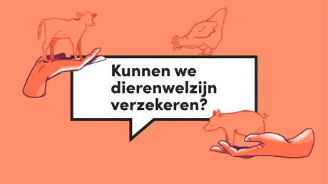 Dierenwelzijn