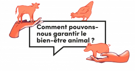 fevia_topicbeelden_fr_final_consumers_trust_-_animal_welfare.png
