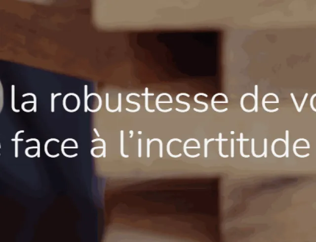 Robustesse