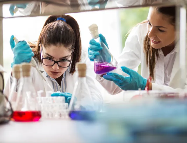 Talent - STEM opleiding Talent - STEM opleiding