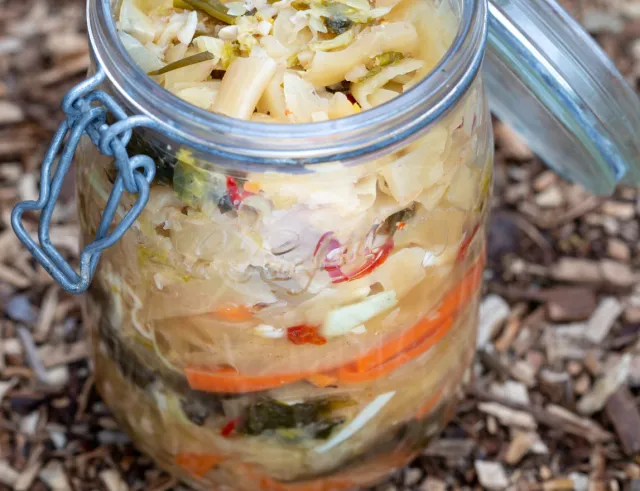 Fermentatie Fermentatie