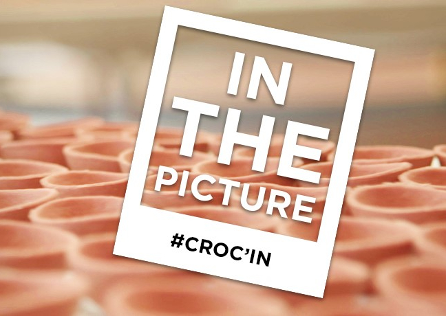 in_the_picture_crocin